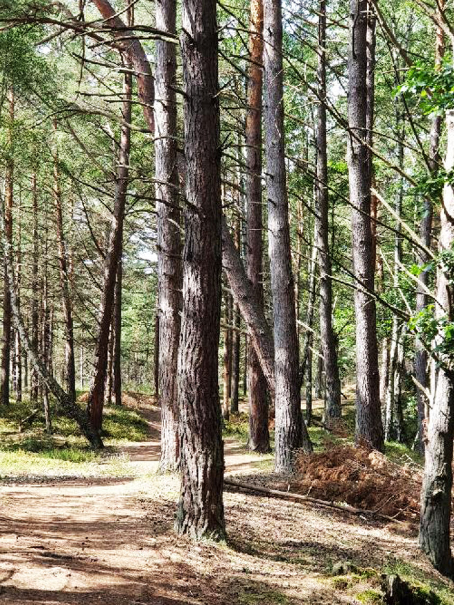 gdzie jest najtańsze all inclusive?