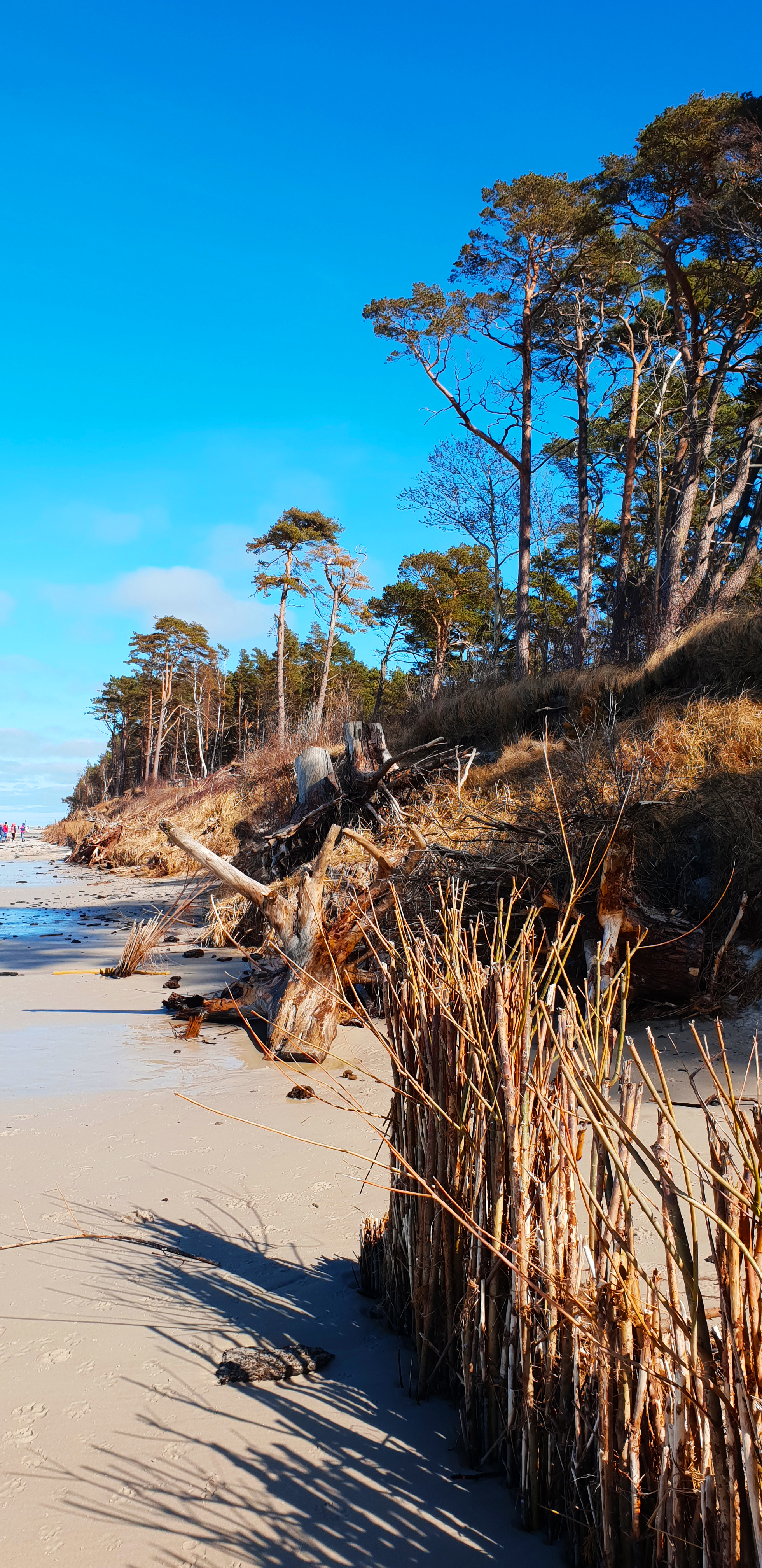 urlop rodzinny lubiatowo