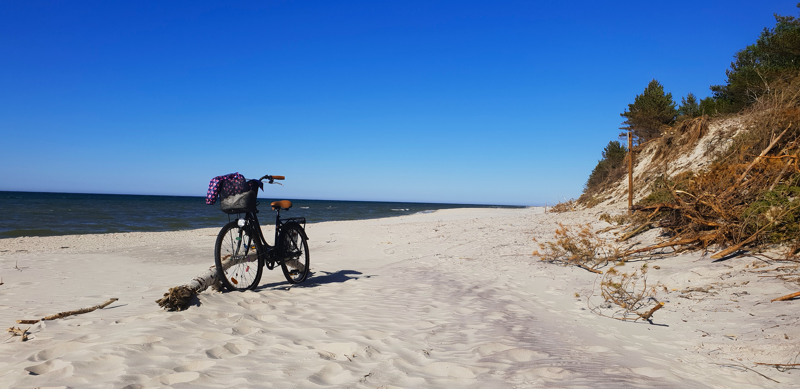 wypoczynek nad morzem z psem