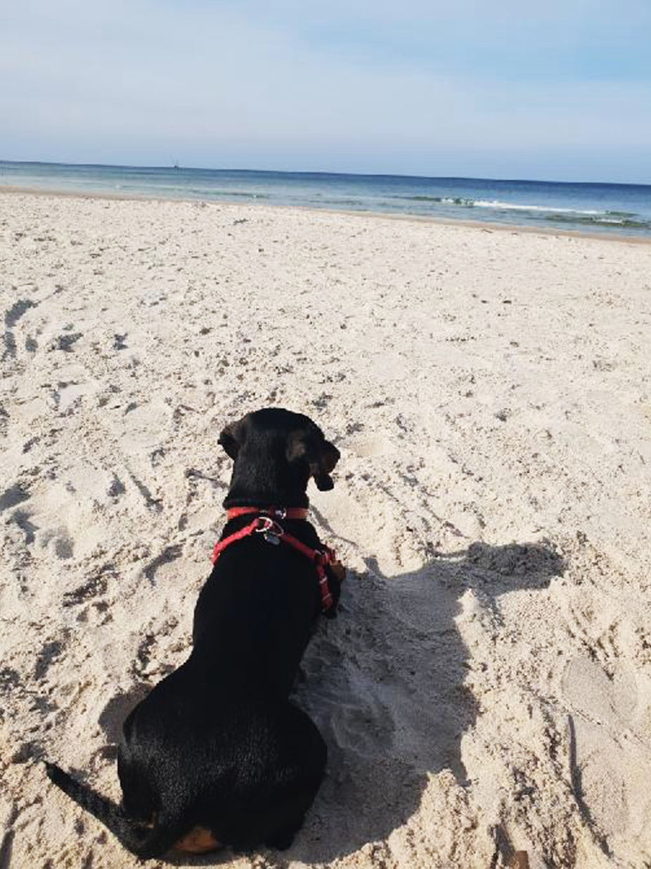 tanie wakacje nad morzem