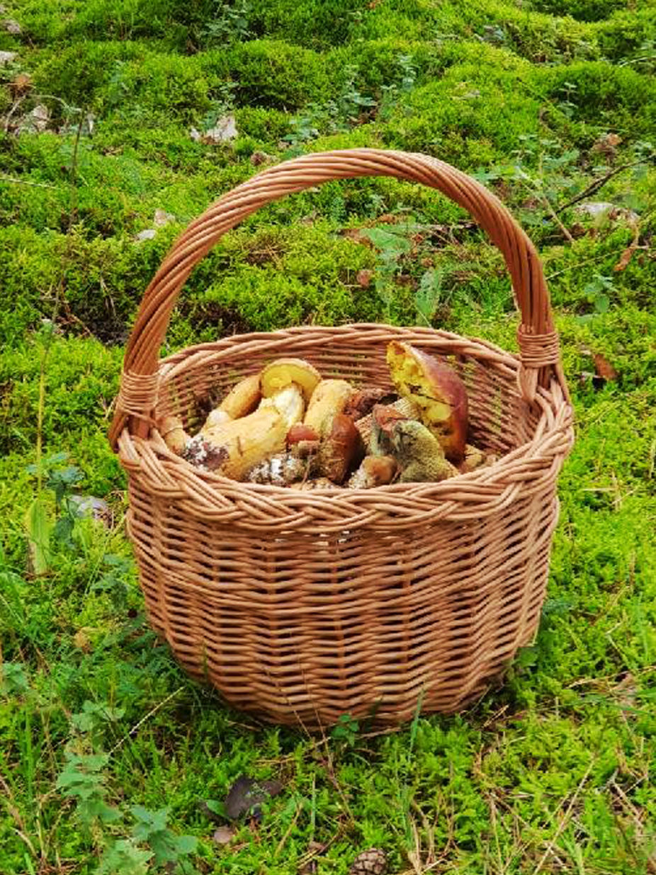 tanie wakacje nad polskim morzem