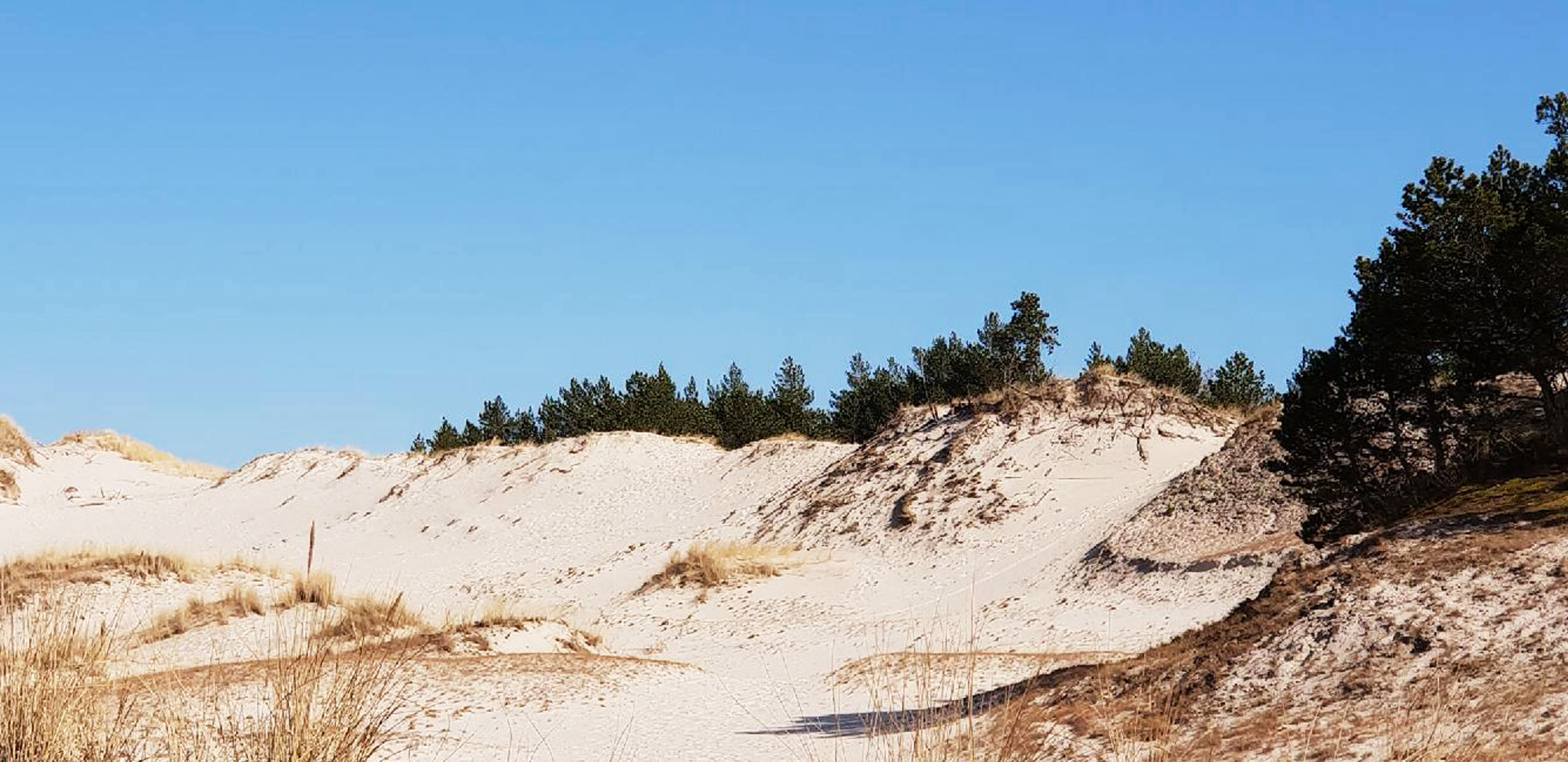 wakacje nad morzem 2024